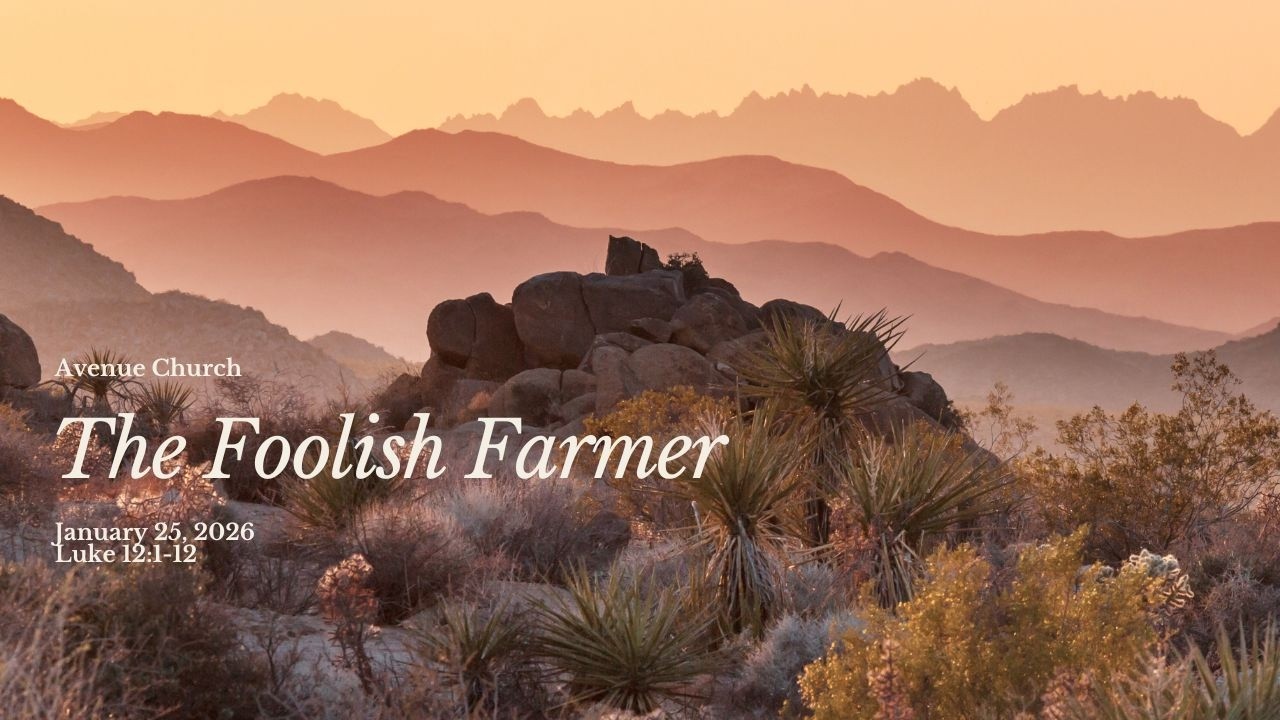 The Foolish Farmer | Luke 12: 13-34