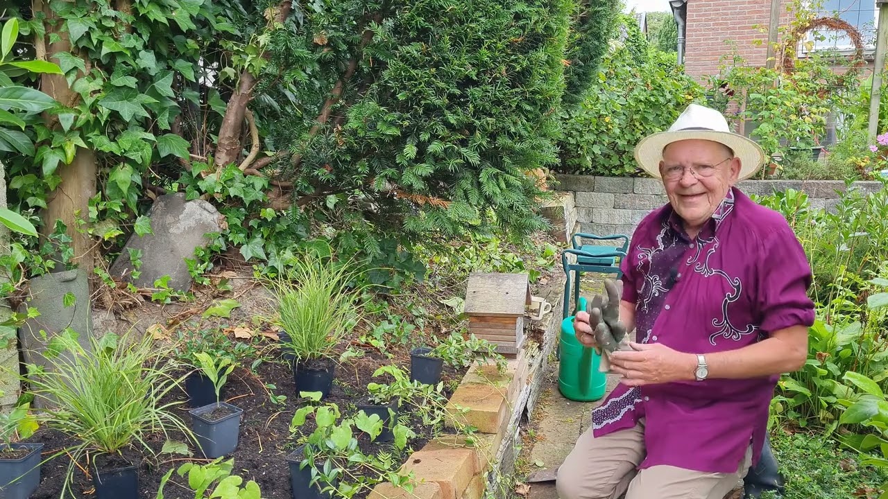 In de tuin bij Henk, aflevering 90, Dwergmispel in de schaduw