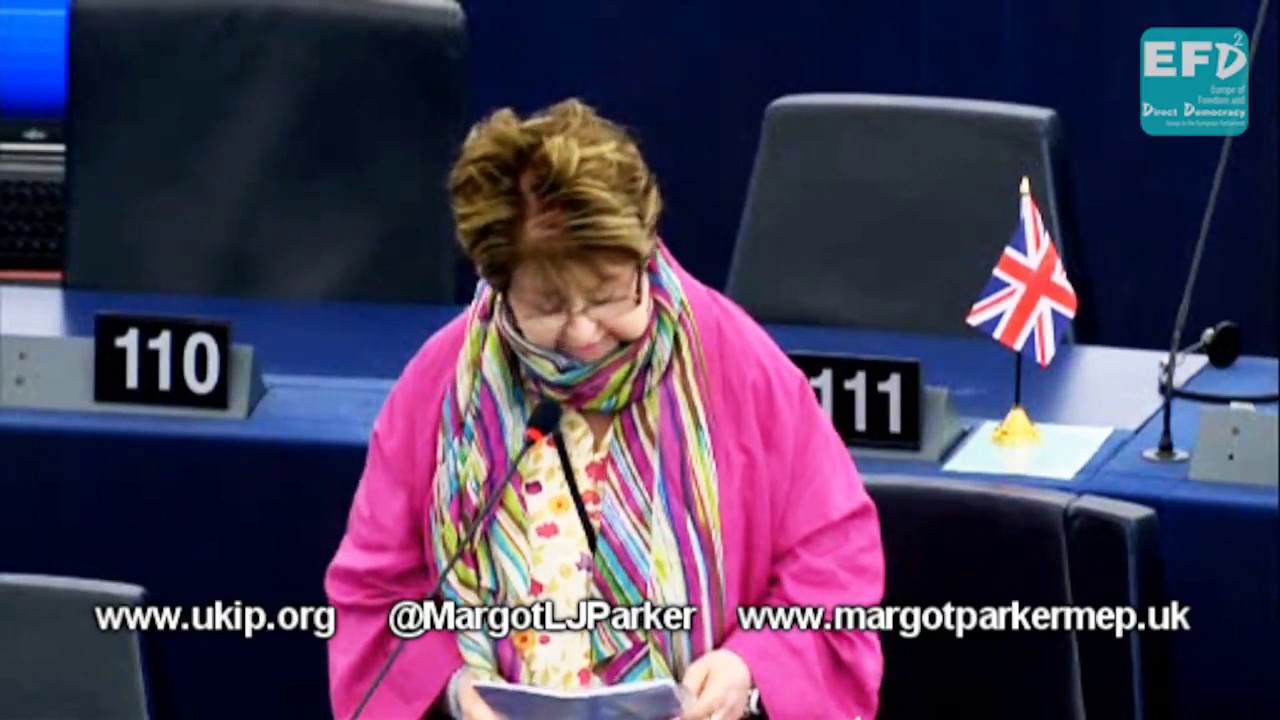 Harmonisation of EU standards puts UK product quality at risk   Margot Parker MEP