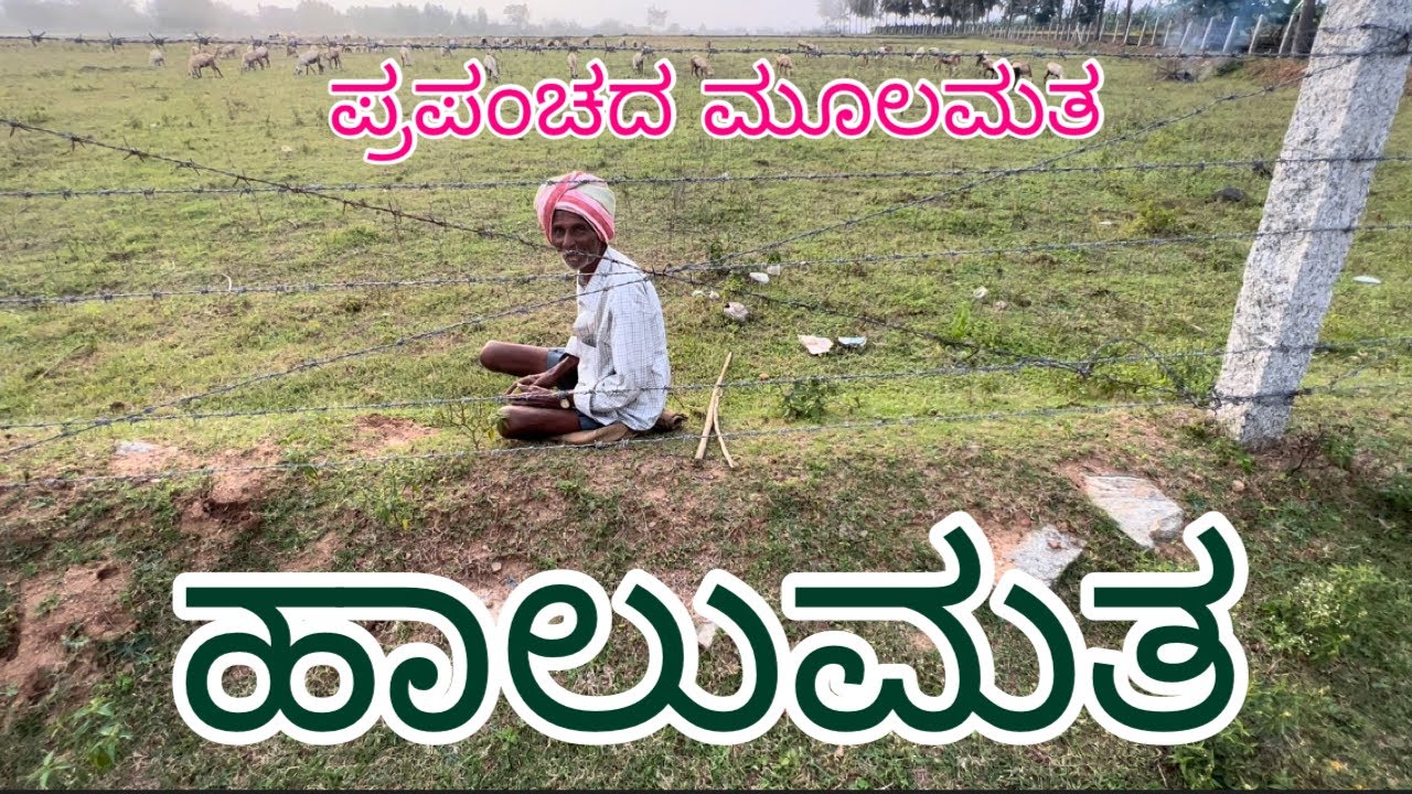 Halumatha Kuruba Gowda Community | ಹಾಲುಮತ ಕುರುಬ ಗೌಡ | Oldest Community In The World