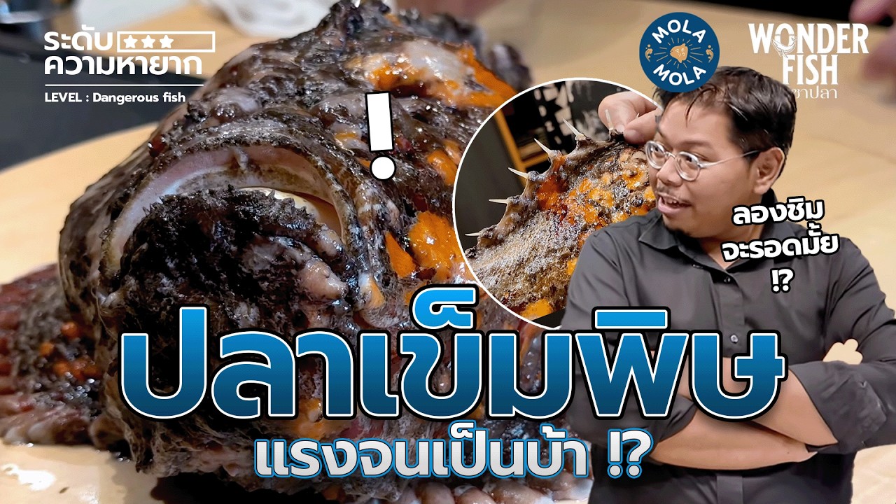 ชิมปลาเข็มพิษ ร้ายแรงจนเป็นบ้าได้