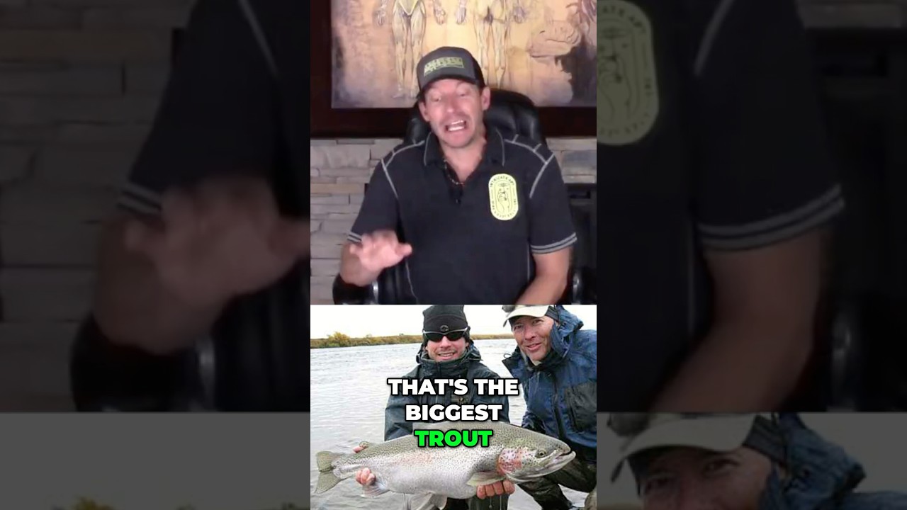 Biggest Alaskan Rainbow Trout EVER!