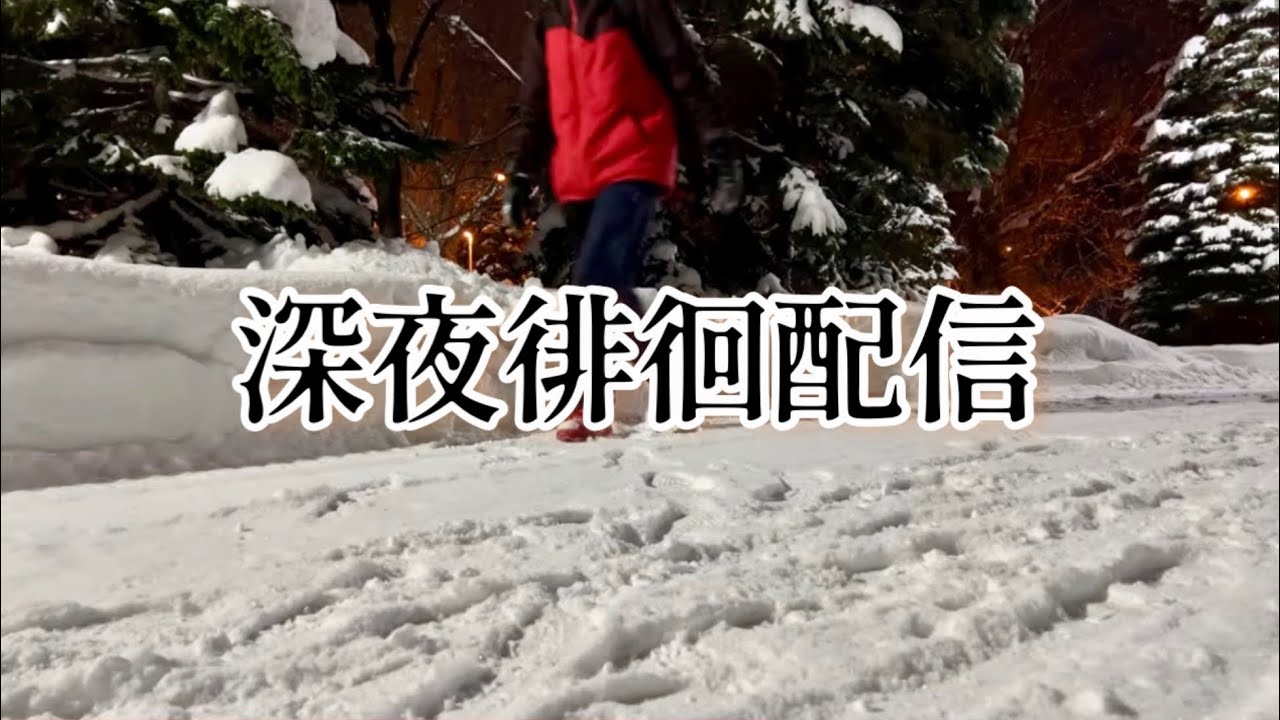 夜の散歩がけっこう好き