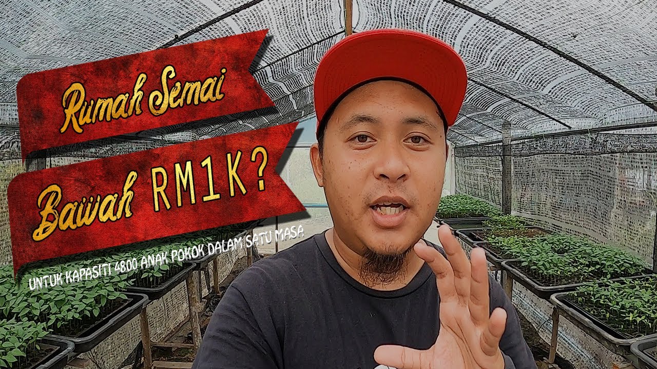 RUMAH SEMAI BAWAH RM1K? BUAT PAKAI APA EK?