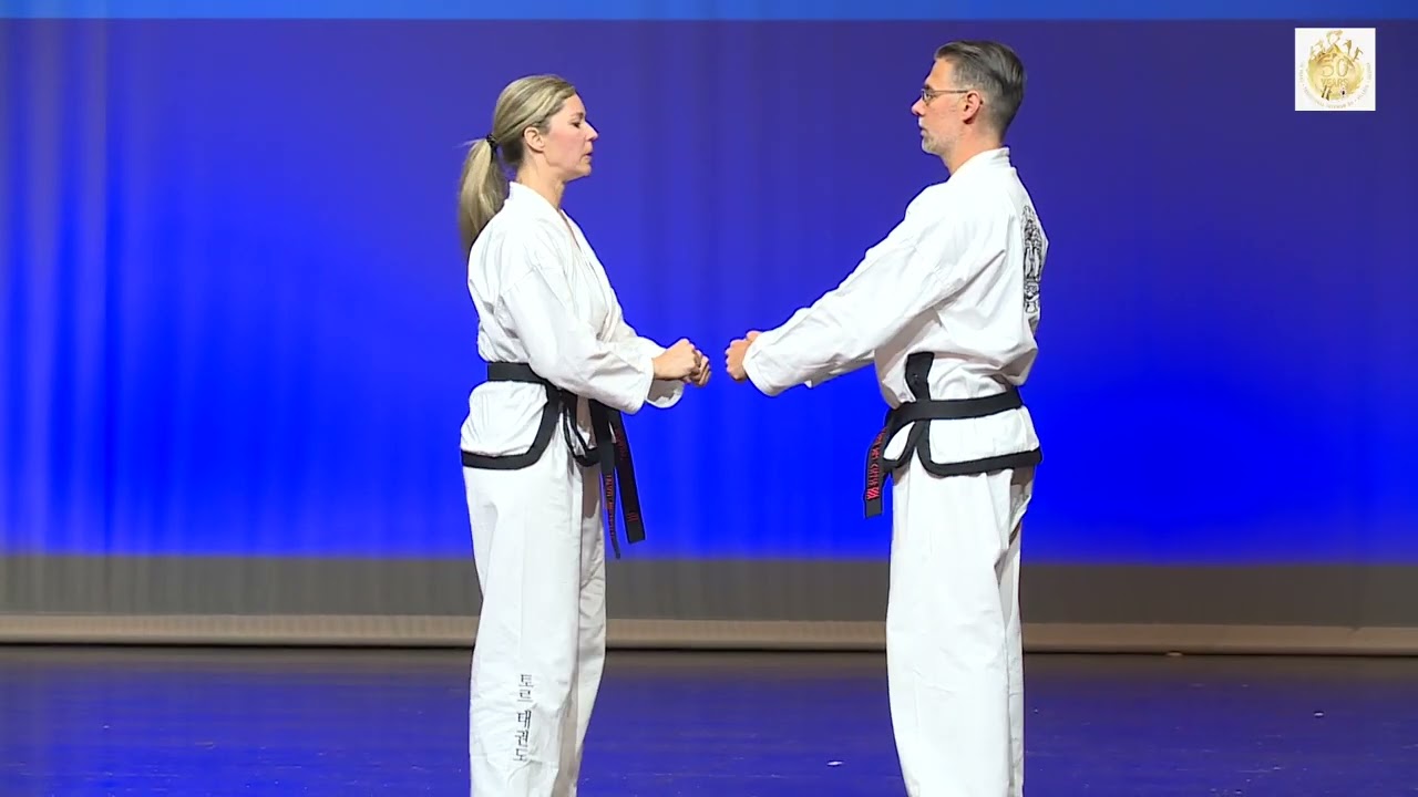50 Jahr Jubiläum Villach   Toleu Taekwondo  Mödling Österreich