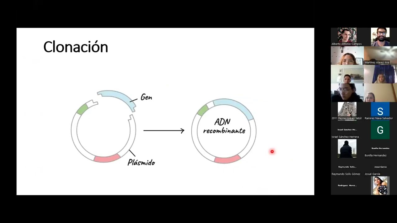 Técnicas básicas de Biología Molecular Dr Alberto Antonio Campos