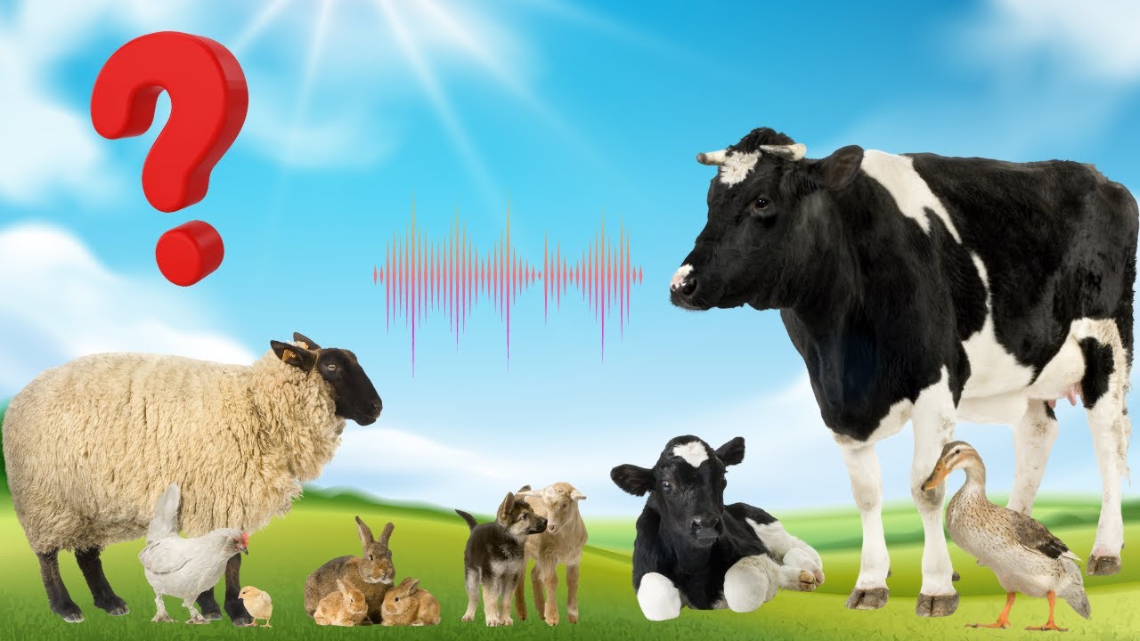 INDOVINA L' ANIMALE DAL VERSO | ANIMALI DELLA FATTORIA + VIDEO ANIMALI | NOMI E SUONI REALI