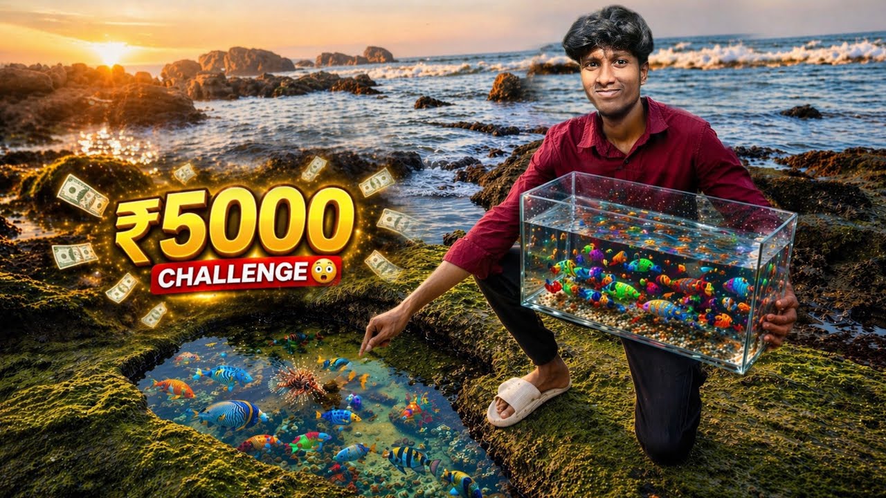 ₹5000 😳🔥Challenge! Catch the Most COLORFUL Fish/JENISH KJ