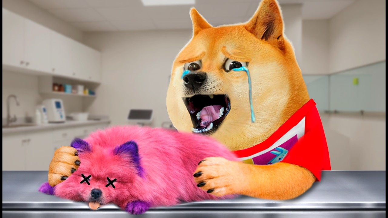 🐶💔 Мой пёс не заслуживал этого