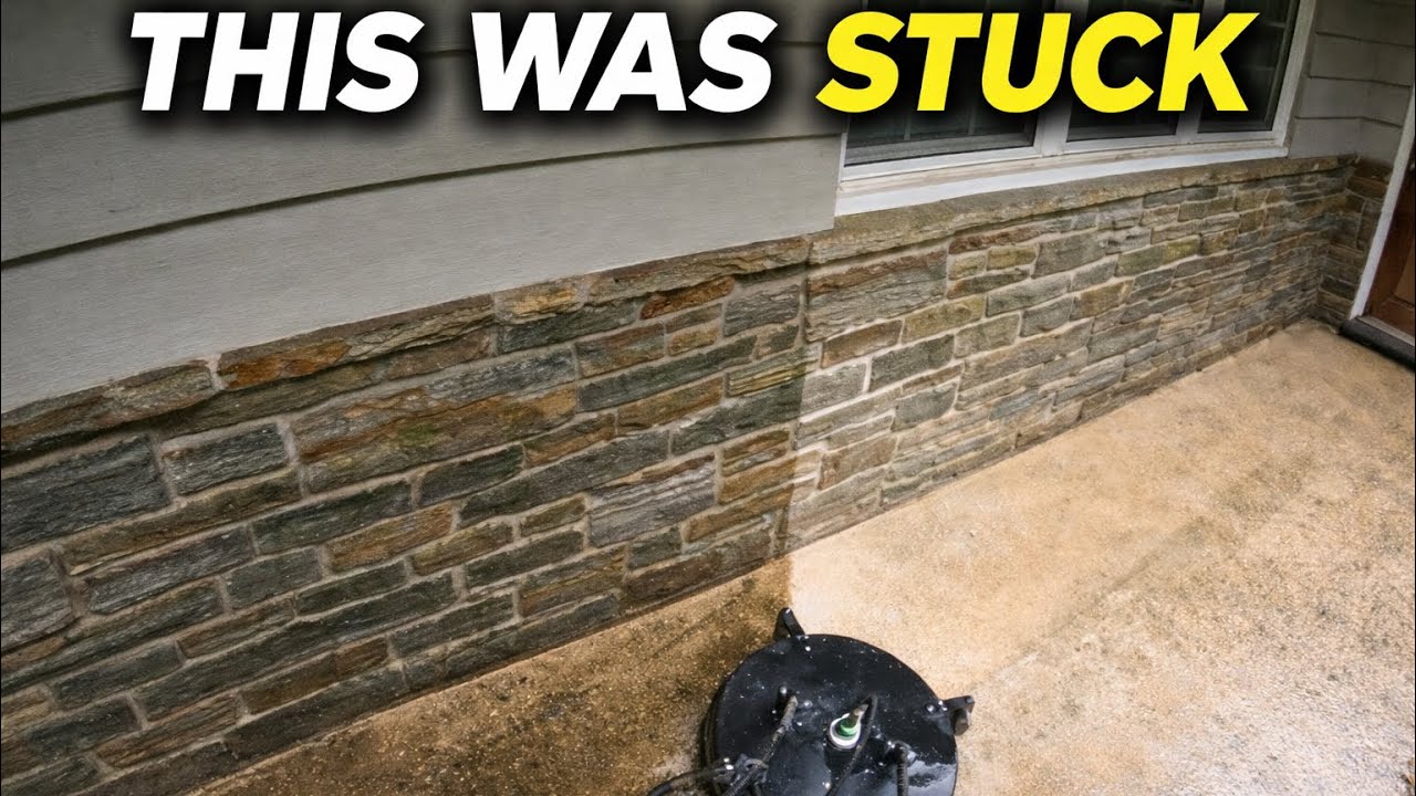 This Concrete Was Covered in Algae… Then THIS Happened