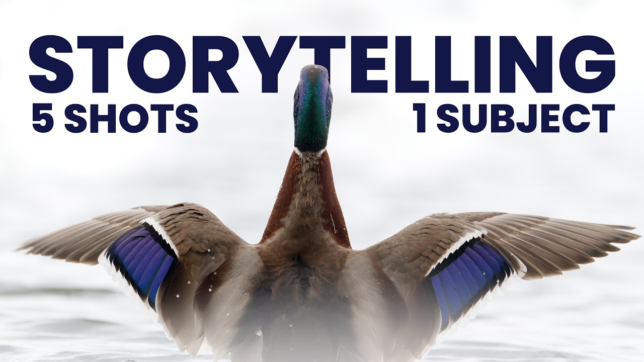 The 5 Shot Types That Turn Wildlife Photos Into Stories with Peter Dam