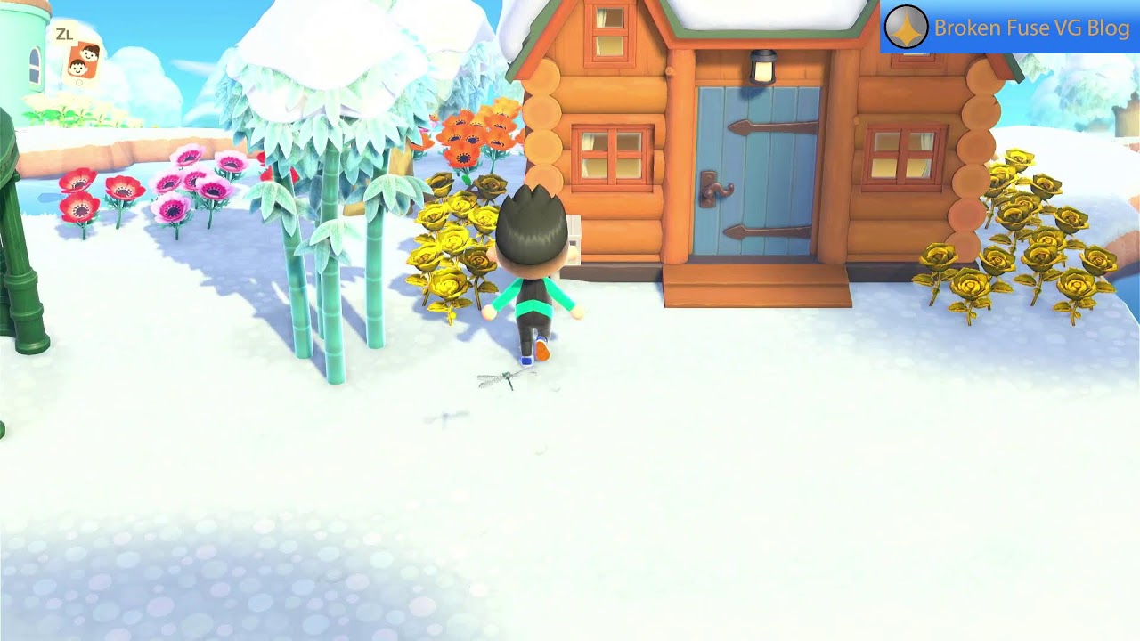 Animal Crossing New Horizons