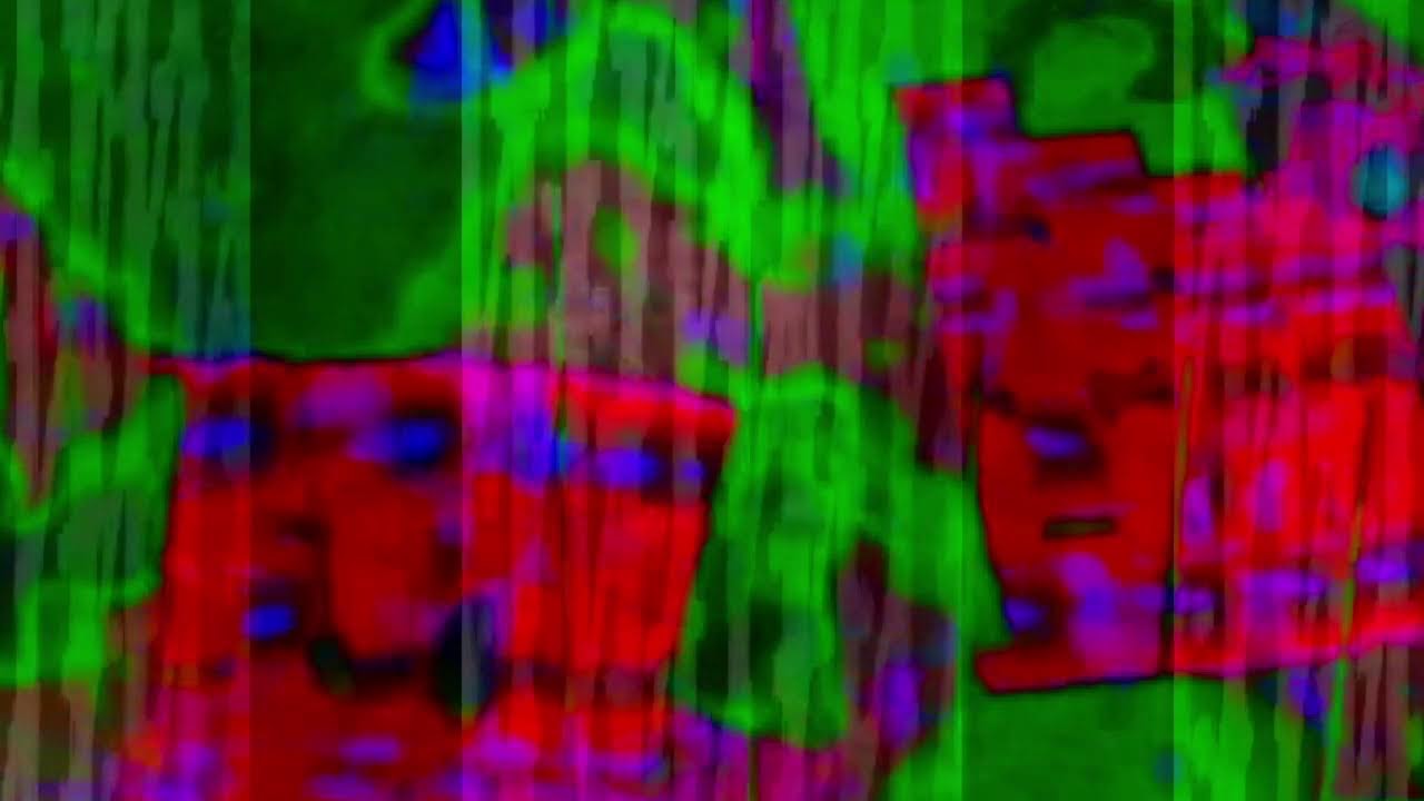 2/20/26