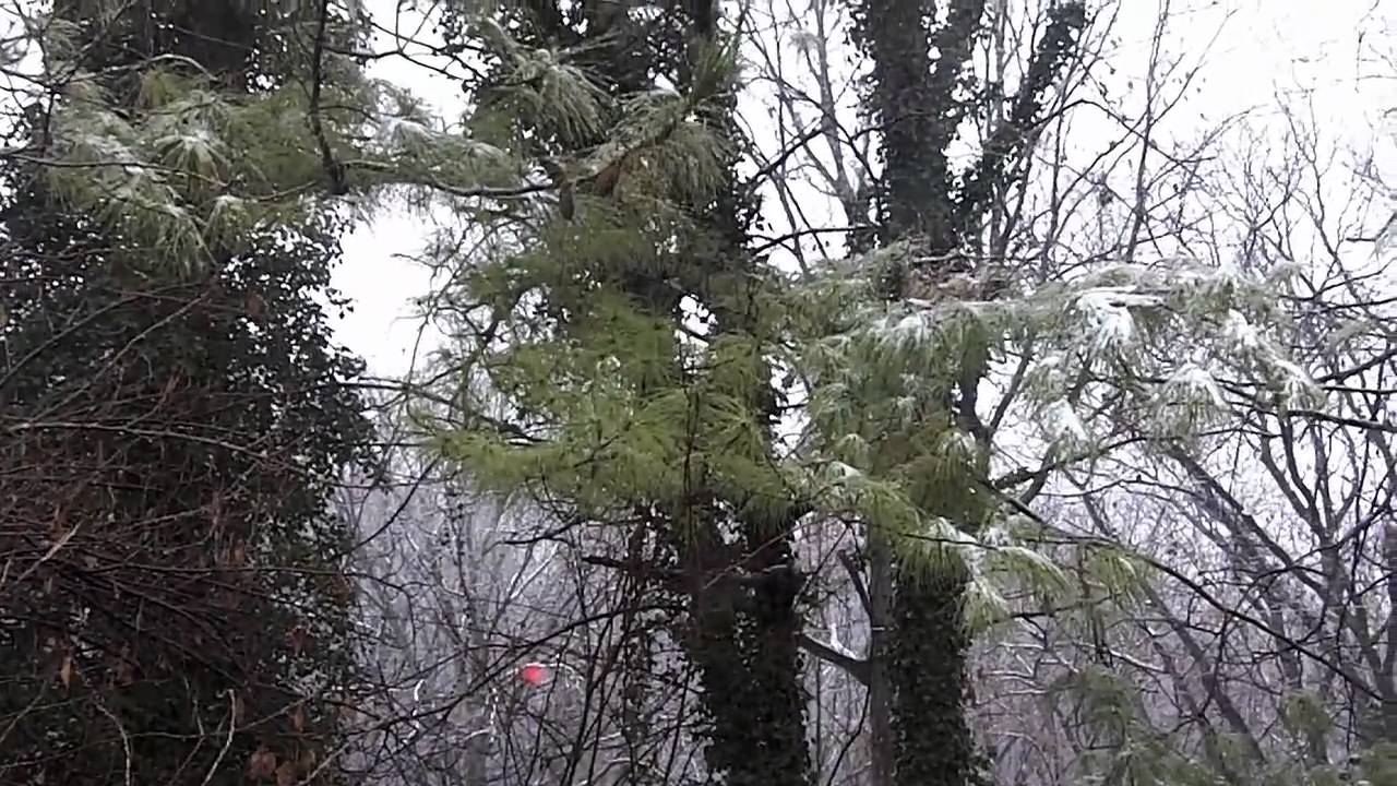 Teddy Ruxpin- Snowflakes Are Falling