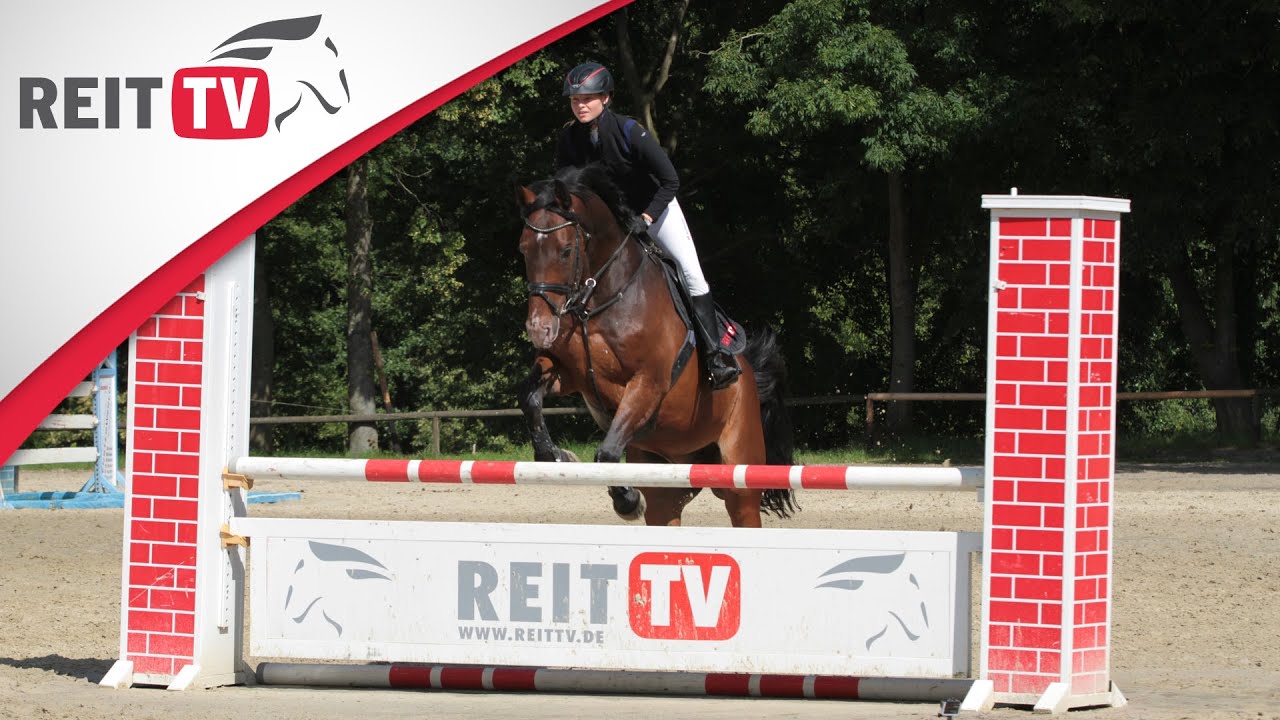 Ausrüstung: Sicherheit beim Reiten - Mit Airbag-Weste durch den Springparcours