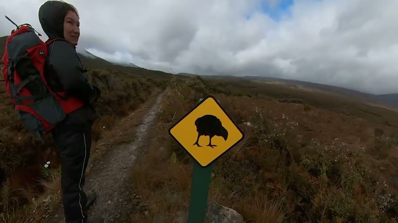 Heaphy track Brown hut to Kohaihai beach