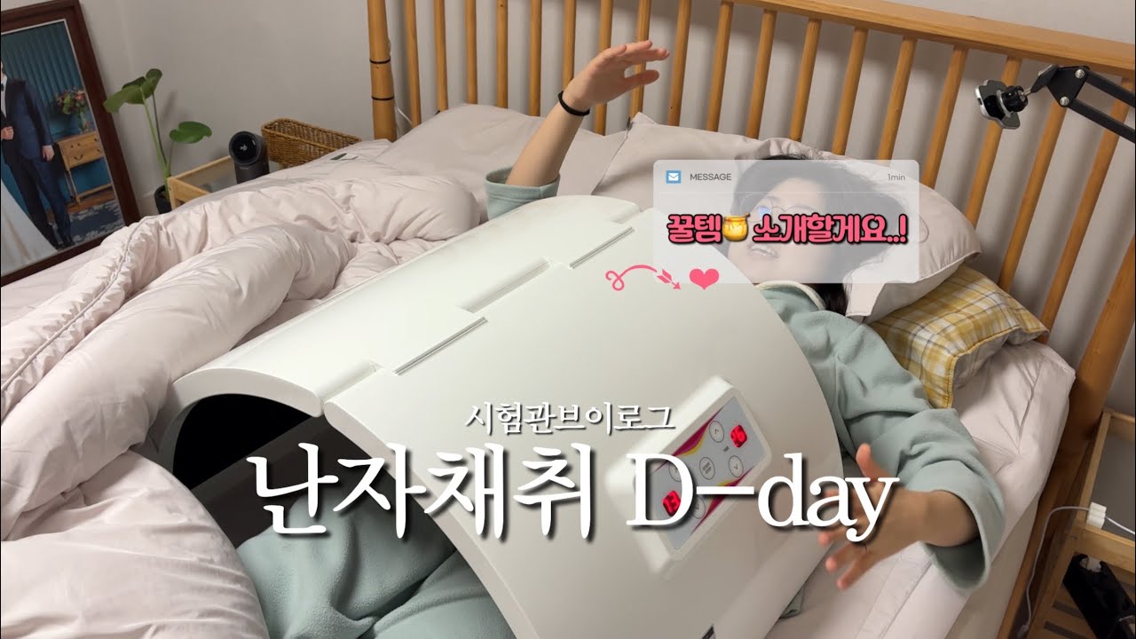 시험관 브이로그 ♾️ 난자채취 하던 날. new 병원의 채취 과정, 채취 갯수 (+자궁온도 높여주는 게 중요한 이유..!)