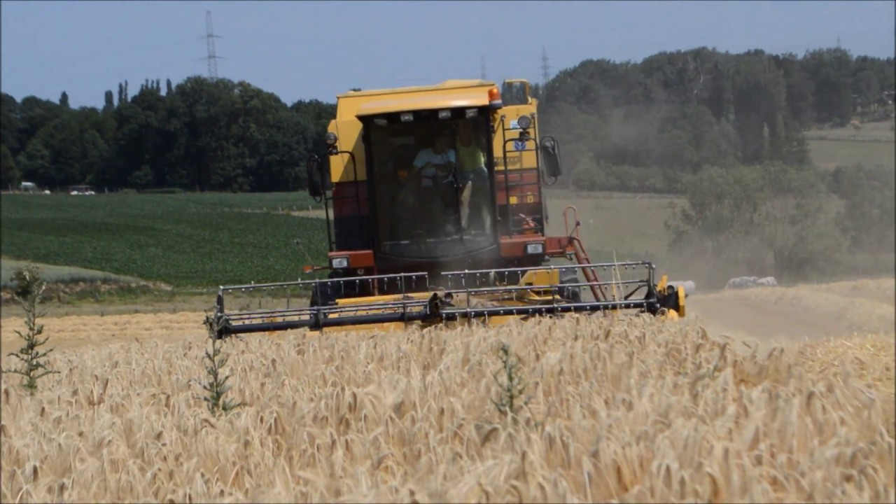New Holland L523 | oogst/harvest 2015