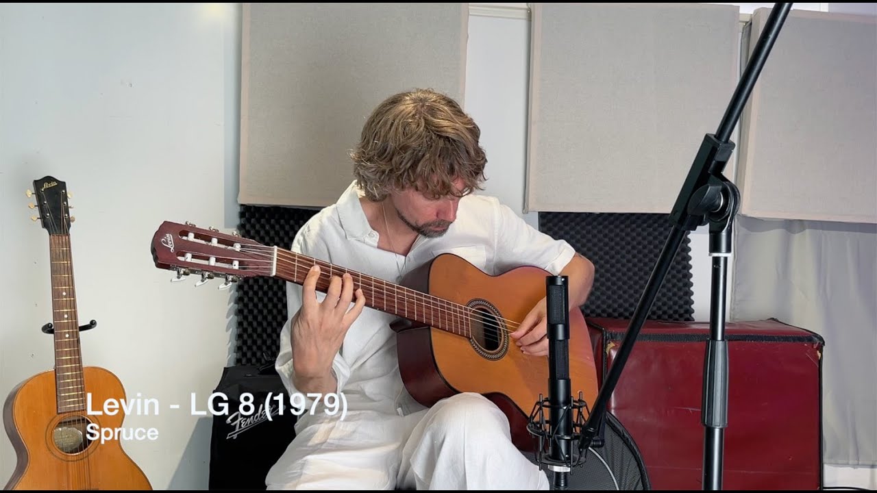 Levin - LG8 Demo (My Guitars #20)