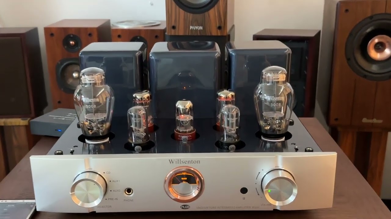 Willsenton R300 PLUS 300B tube amplifier best matched with PAIYON P4-2.0 Bookshelf Loudspeaker