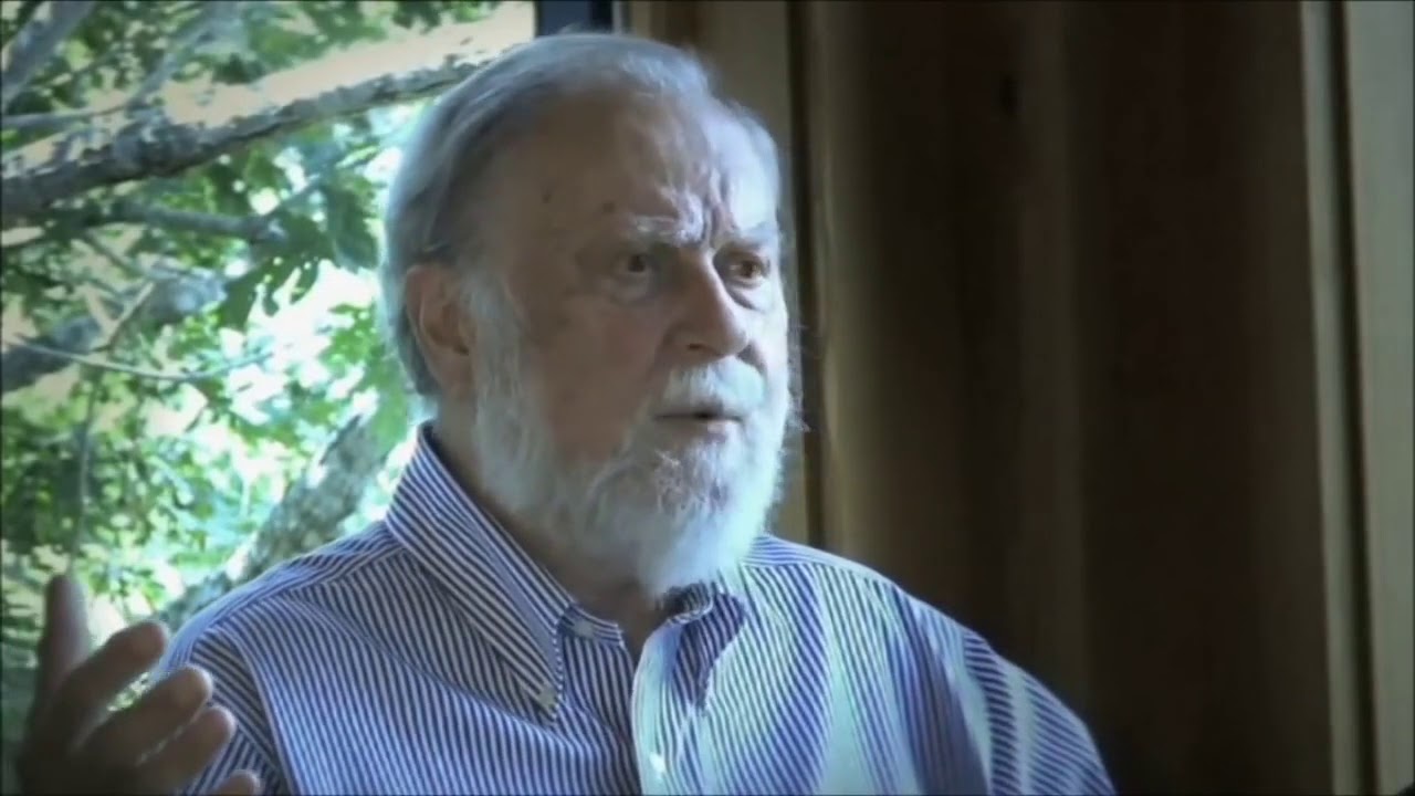 Violence, genes and environment