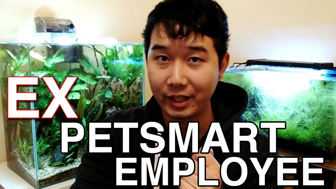 The TRUTH about PetSmart | perspective from an ex-PetSmart employee
