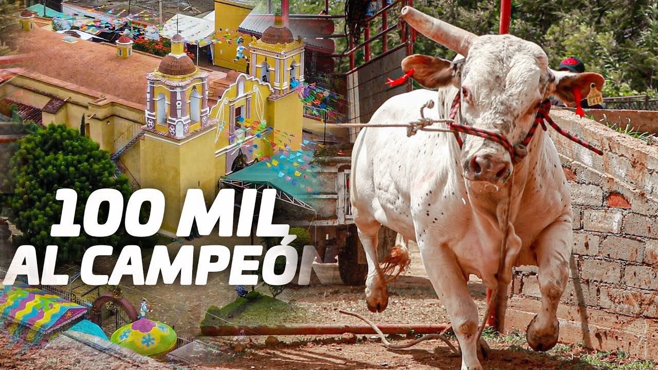 ¡SE JUGARON 100 MIL PESOS PARA EL MEJOR TORO! ASÍ SE FESTEJA EN SAN AGUSTÍN YATARENI, OAX.