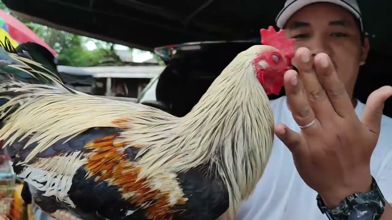 solid dala ni boss mac ngayun !.