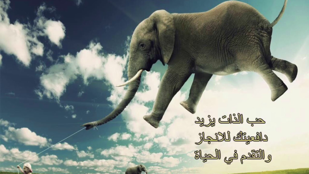 لماذا يجب أن أحب ذاتي