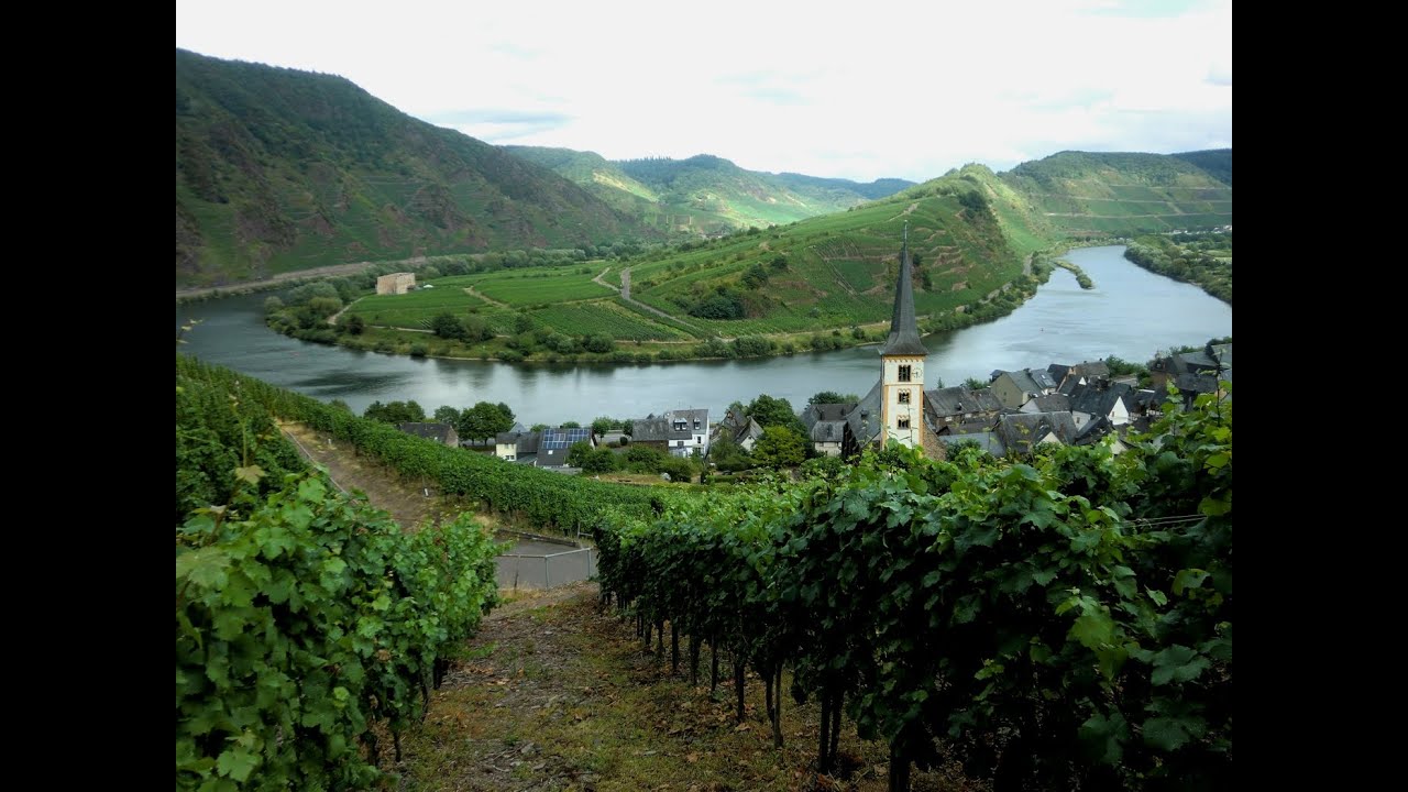 Mosel-Schiffstour von Trittenheim nach Bernkastel-Kues
