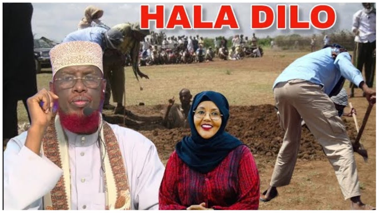 DAAWO Sheekh Umal oo Afka Furtay Jawaab Kululna Siiyay Xildhibaanad Sacdiyo