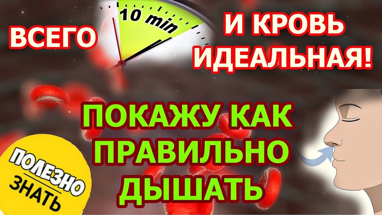 Всего 10 минут и кровь идеальная. Методика дыхания