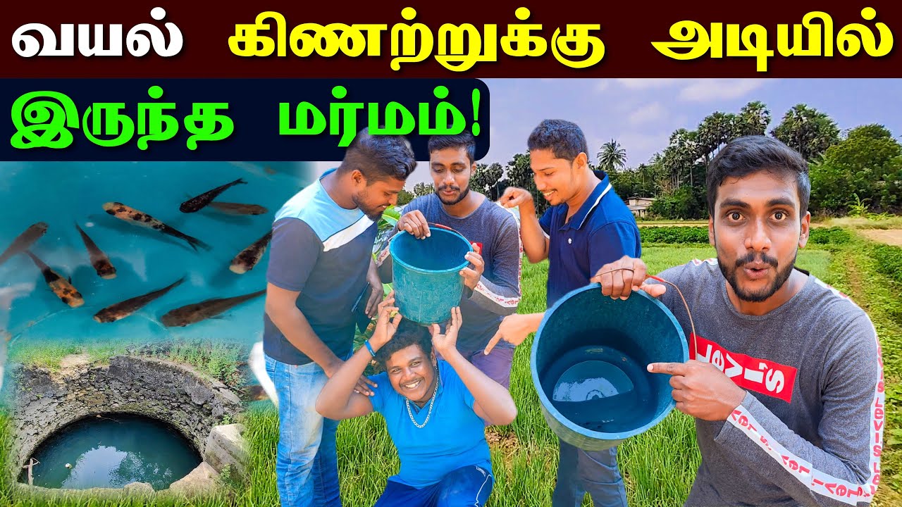 🔴 வயல் கிணற்றுக்கு அடியில் கேமராவில் சிக்கிய பொருட்கள் 😮 | Jaffna Fishing | Jaffna Thanush