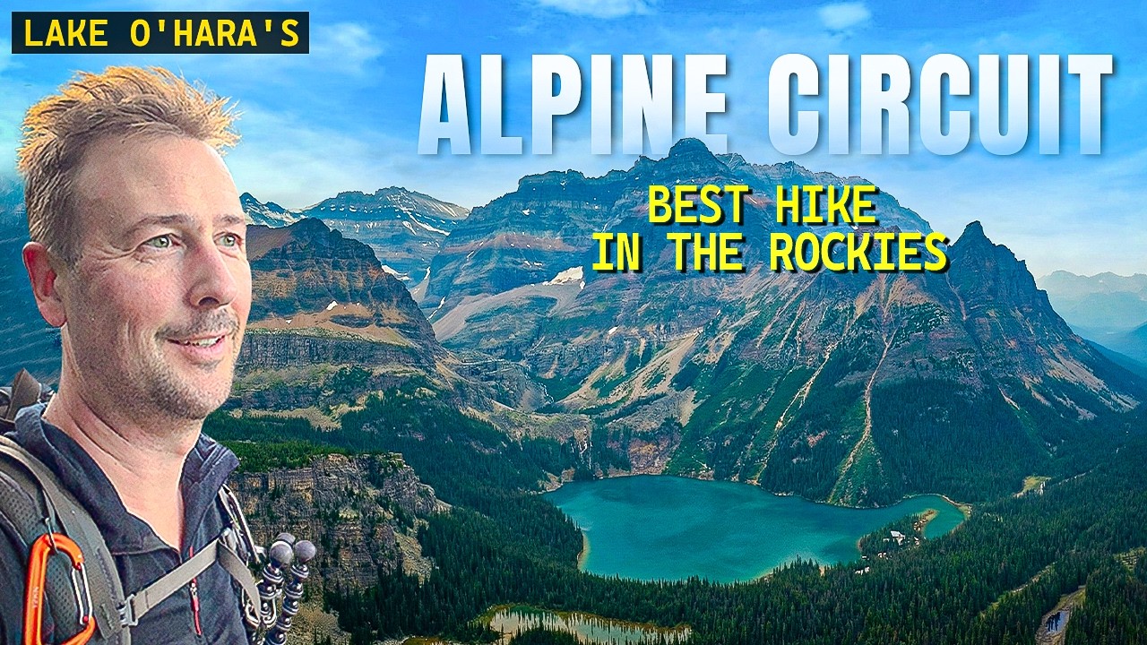 Hiking the BEST trail in the ROCKIES: Lake O'Hara's Alpine Circuit