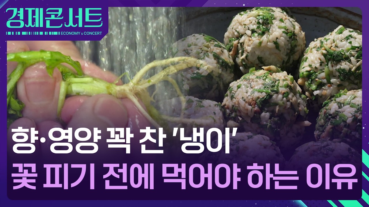 “봄 내음 한 숟갈”…냉이, 꽃 피기 전 지금 식탁에 올릴 때 [경제콘서트] / KBS  2026.02.11.