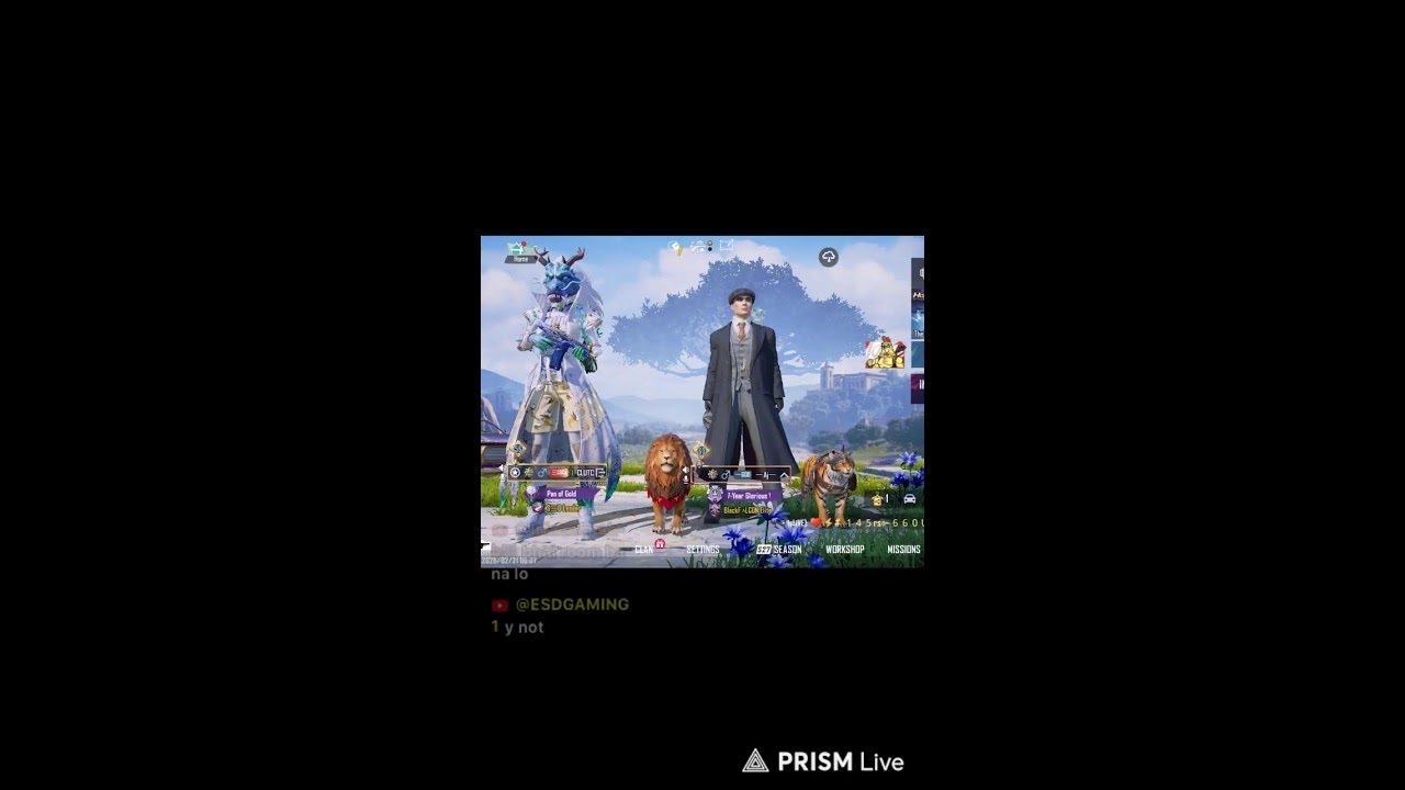 Live streaming of eSD GAMING