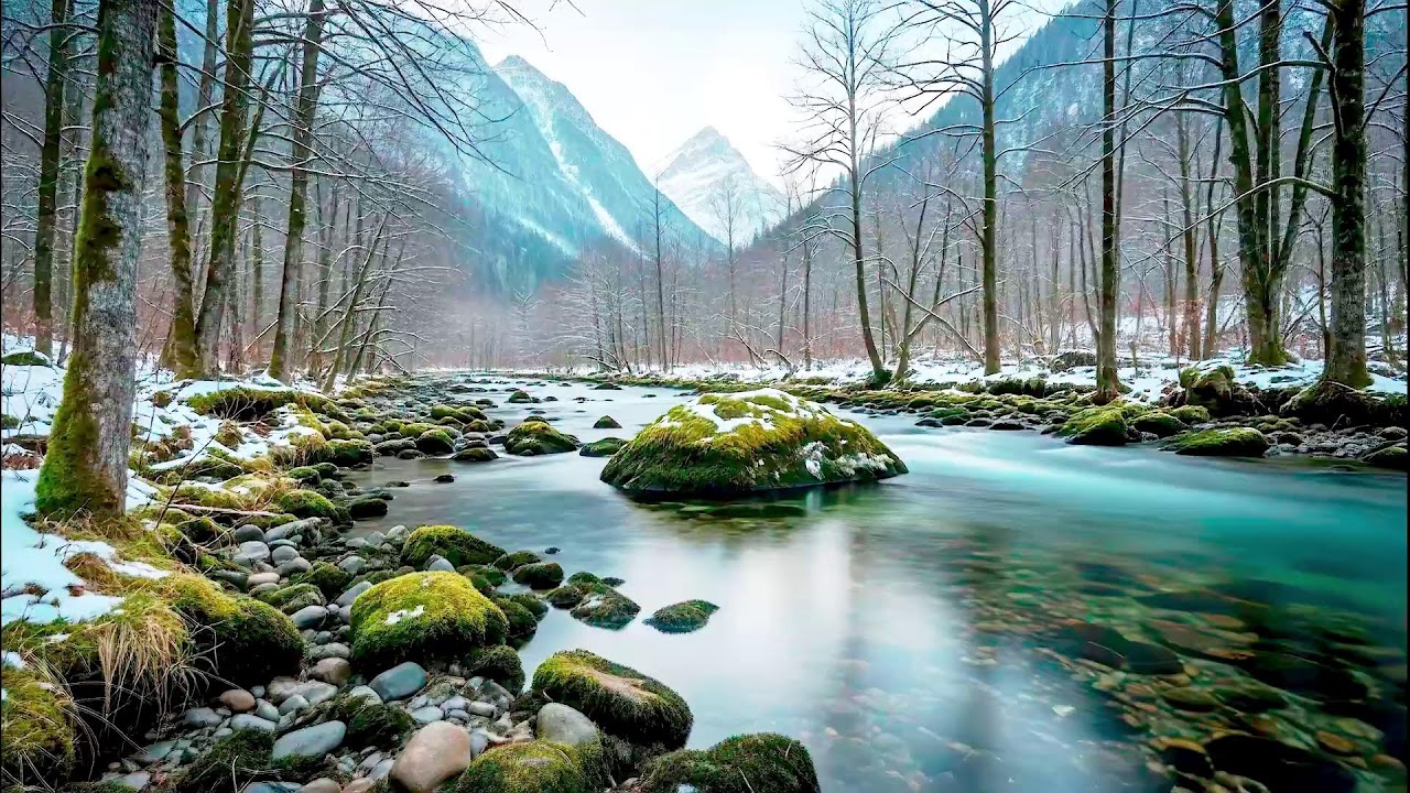 Flowing River Sound for Deep Sleep | Calm Nature Noise for Wellness and Sleep Aid