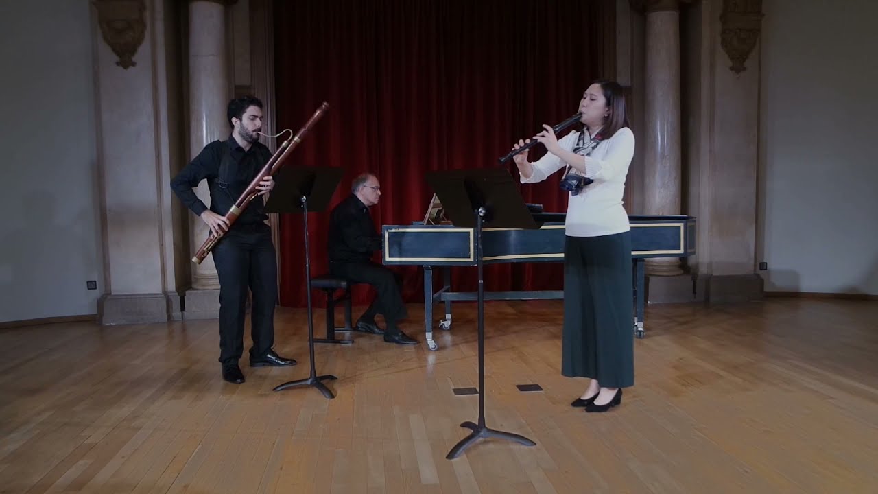 Telemann - Sonatine TWV 41 C2 - II. Allegro