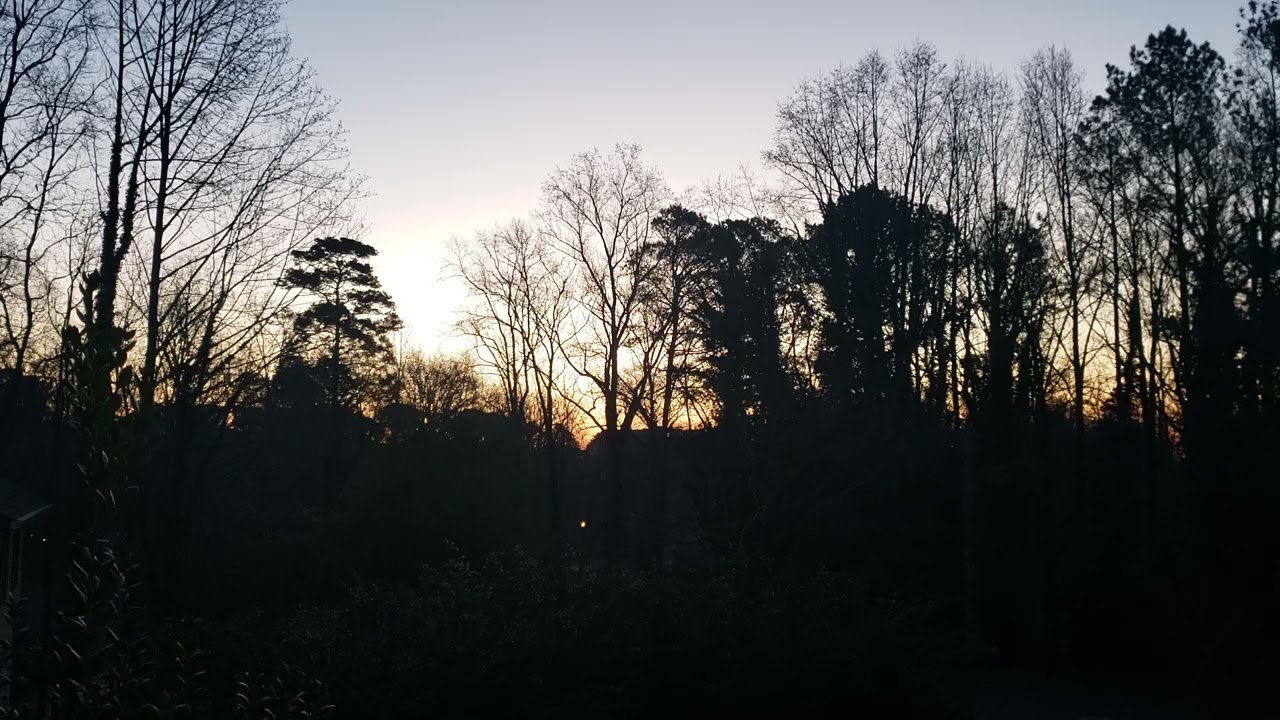 February 6, 2026. Morning view. Sun rising in the background. Birds chirping