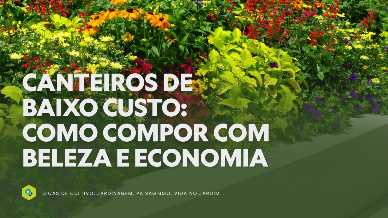 CANTEIROS DE BAIXO CUSTO: COMO COMPOR COM BELEZA E ECONOMIA