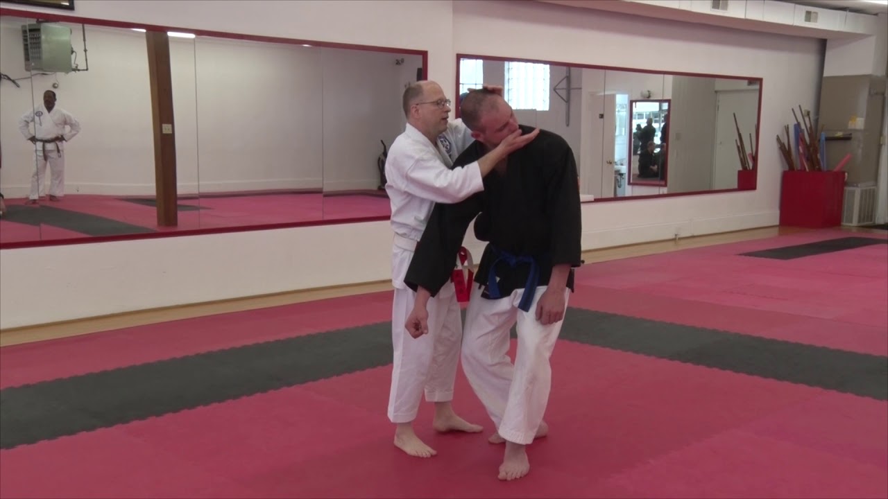 Troy J Price: Part-Three Combative Flow Intercept Hands into Strikes, Arm Bar, Arm Drag & Neck Lock