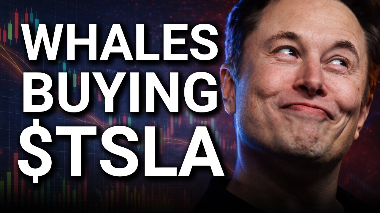Крупные инвесторы скупают акции Tesla! Вот почему.