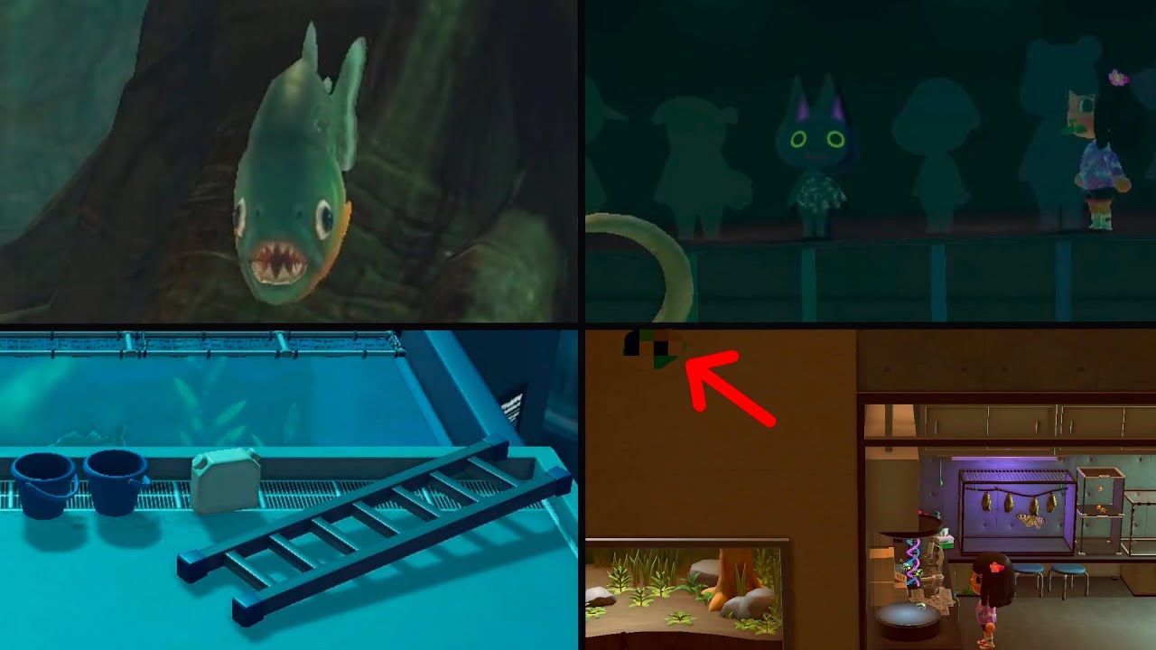 10 Secrets and Easter Eggs You Still Might Not Know in Museum [ACNH]