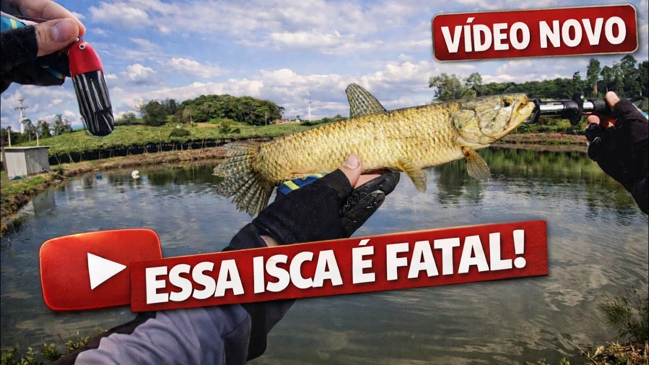 ZARA MAGICA LEVANTA MUITA TRAÍRA! PESCARIA COM ISCAS ARTIFICIAIS.