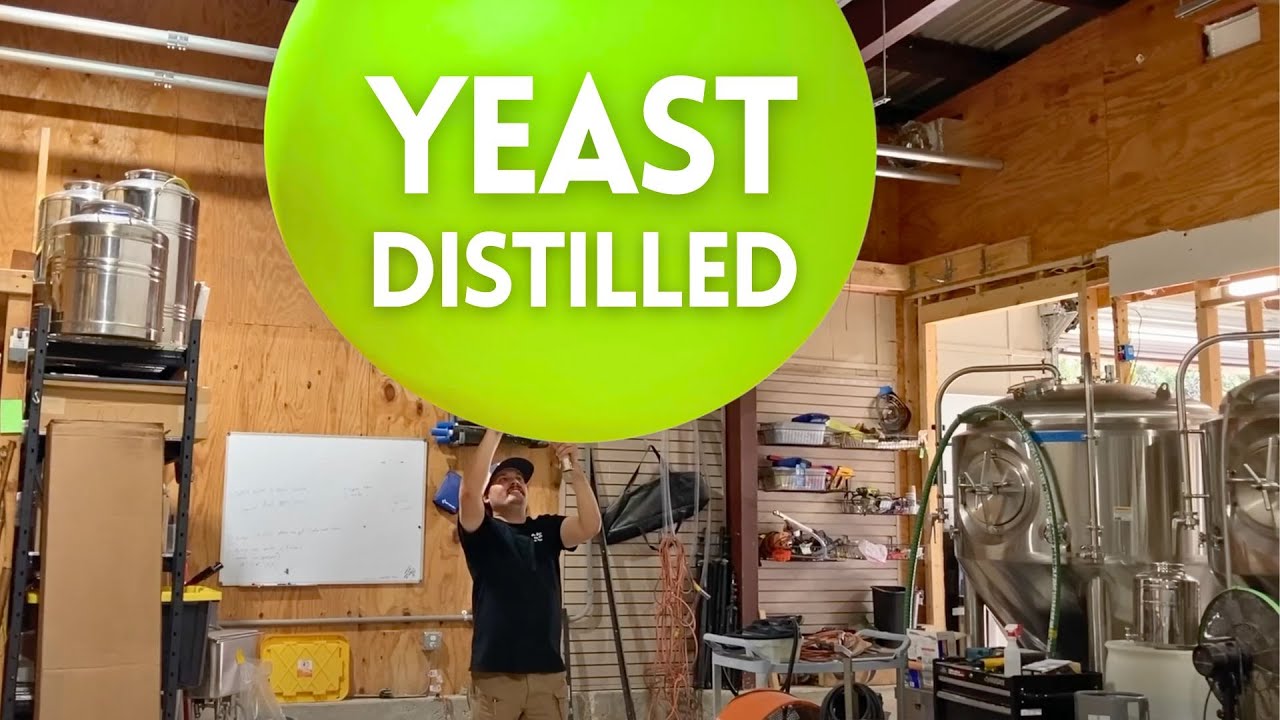 people are WRONG about YEAST in whiskey making