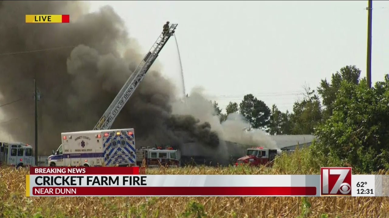 Cricket farm fire in Dunn