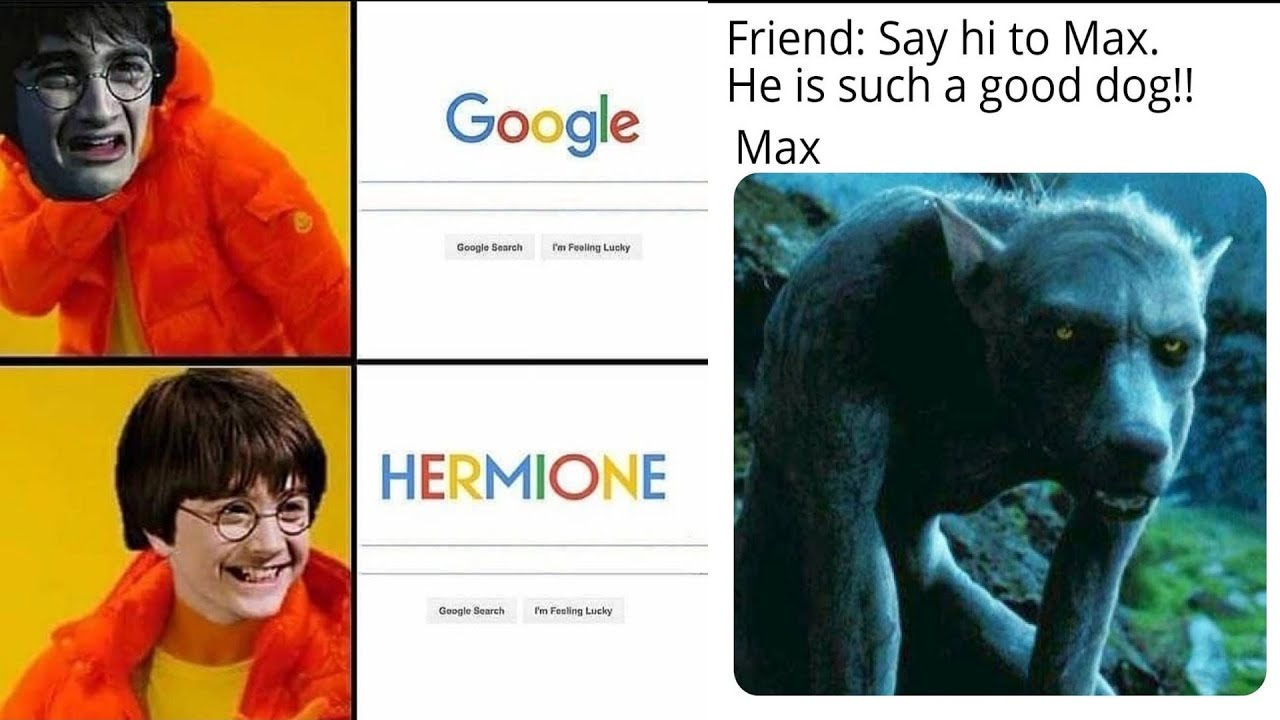 Only Harry Potter fans will find funny #18