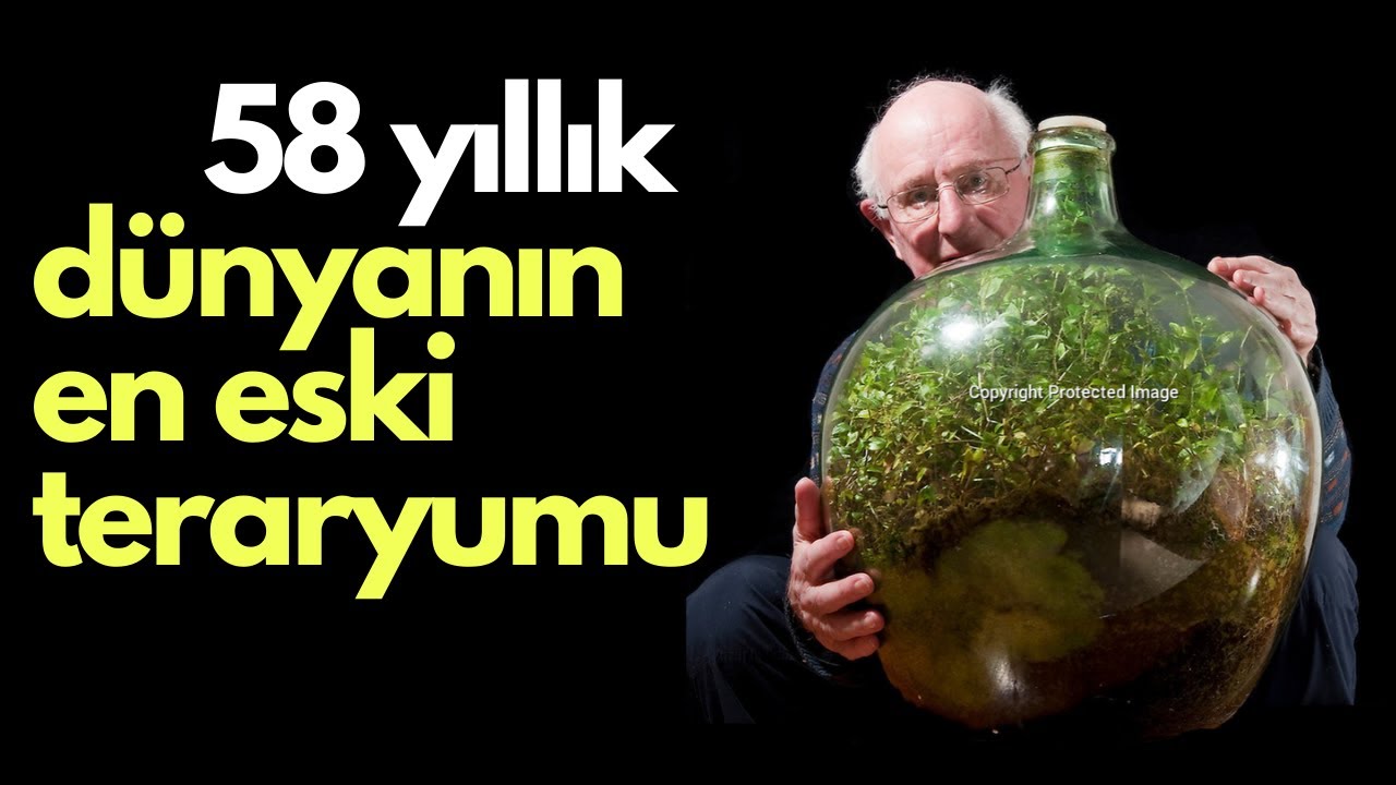 Bir Damla Su Verilmemesine Rağmen Neredeyse 58 Yıldır Yaşayan Bitki