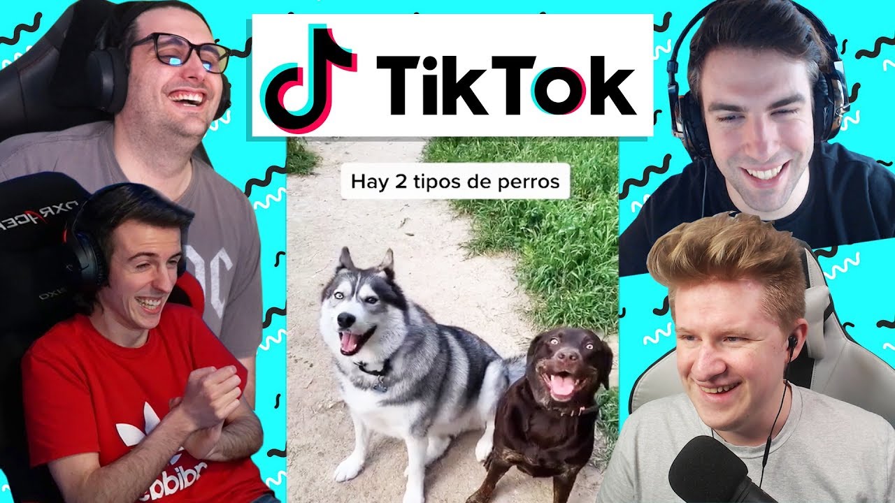 *REACCIONANDO a TIKTOKS VIRALES de ANIMALES*