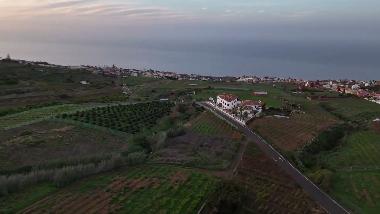 El Sauzal and Tacoronte - Tenerife